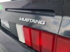Thumbnail Photo 64 for 1980 Ford Mustang